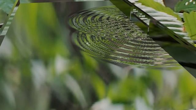 波の回折と干渉。Blenderのpythonプログラム смотреть онлайн