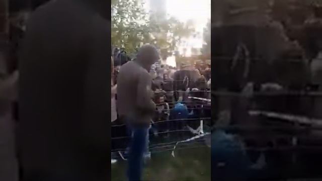 Провокаторы Екатеринбурга кидают на забор ребёнка смотреть онлайн