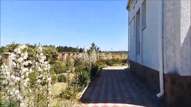 Село Воронцовка, Ейский район, Краснодарский край, 19.06.2022 года смотреть онлайн