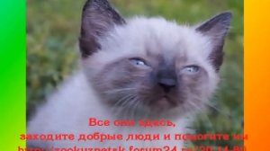 Всем на свете нужен дом