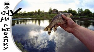 Сходил блин, половил окуней.  Ловля карася на отводной. Ультралайт рыбалка. 12.05.2020