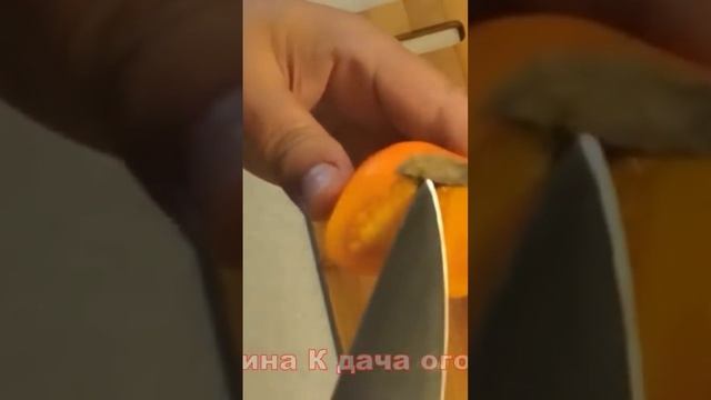 вершинная гниль на томатах #огород #дача #сад #удобрение #подкормка смотреть онлайн