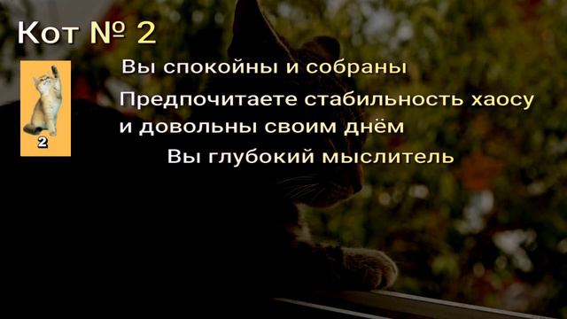 Личностный тест: Какой ты кот? Узнайте, есть ли у вас авантюрный дух! смотреть онлайн