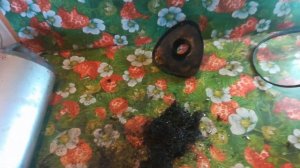 Квадроцикл Avantis hunter 200 new. Доработка глушителя спустя 300км