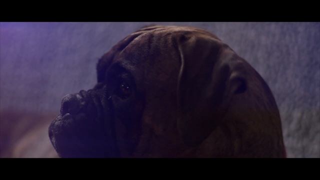 Olympus Om-d E-m10 Mark III - 4k Video Test (speedbooster -  Canon 50mm F1.4 Lens)