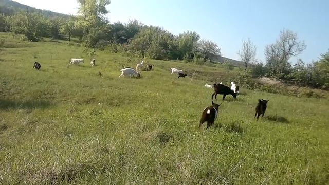 Марьевка, Белгородская область