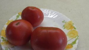 Томат Любимый праздник. №56. Дегустация. Ольга Чернова.