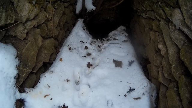 Охота на лиса с собакой. смотреть онлайн