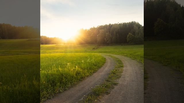 Sverige смотреть онлайн