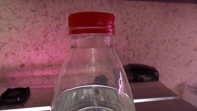 Имитация пересылки аулофоруса и дафнии смотреть онлайн