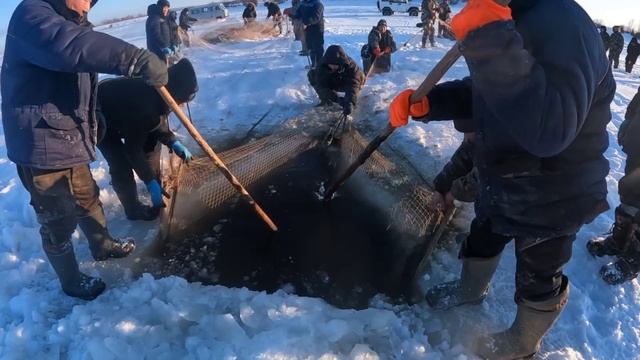 национальная рыбалка Якутии "мунха" 2, рассказ от главы наслега смотреть онлайн