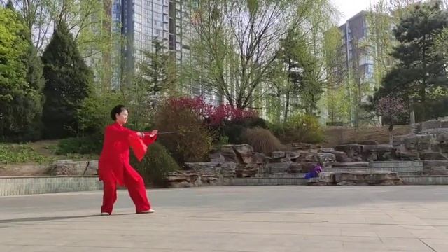 Тайцзицюань_Моя Мастер Тай-чи в 70 лет/ Тренировка с мечом Дао ( Tai Chi with Chinese Sword Dao) смотреть онлайн