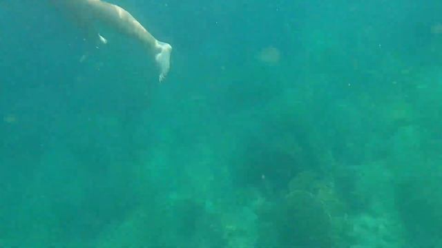 ТАЙЛАНД/ПХУКЕТ/ТУСОВКА/ДЕНЬРОЖДЕНИЯ/РЕЛАКС/БАЗАР/ТРАНСВЕСТИТЫ смотреть онлайн