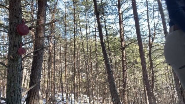 Crispy Pineapple Fish cooked on campfire in Snow solo in the woods. ASMR cooking no talking. Yummy смотреть онлайн