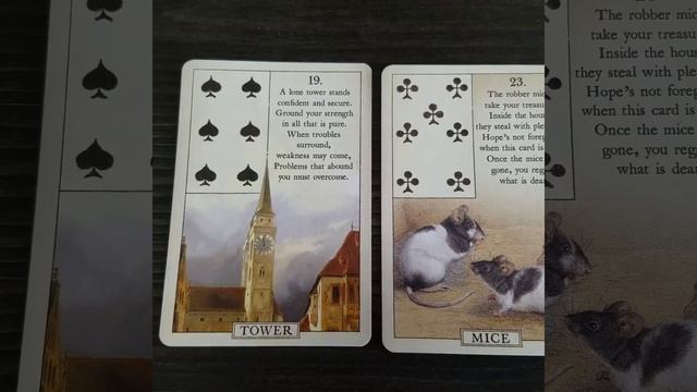 Context is everything in Lenormand смотреть онлайн