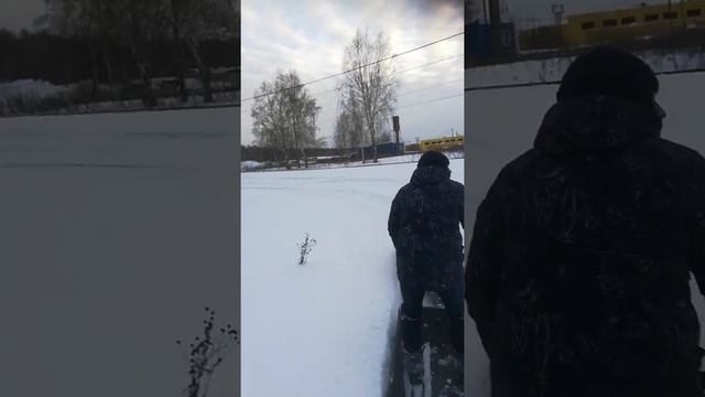 Мотособаки сила, рекс17# дружок15#томск