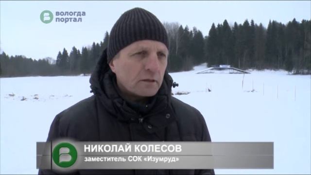 Лыжные трассы «Изумруда» готовы к проведению Фестиваля зимних видов спорта смотреть онлайн