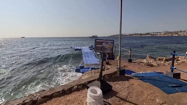 Египет 2023. СТОИТ ли ПЕРЕПЛАЧИВАТЬ❗️МОРЕ и ШИКАРНЫЙ ПЛЯЖ Grand Oasis Resort 4*.Шарм Эль Шейх сейча