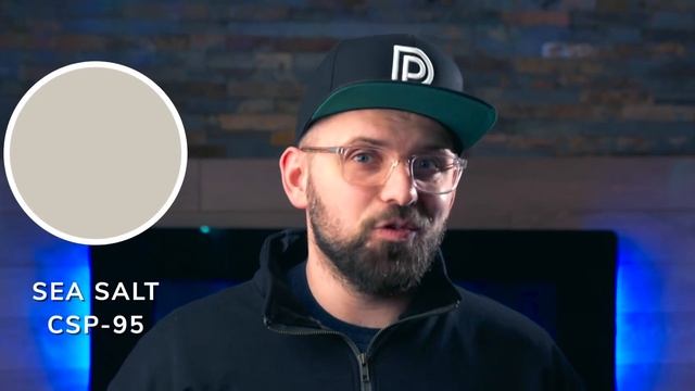 10 BRAND NEW NEUTRAL PAINT COLORS | Benjamin Moore Neutrals смотреть онлайн