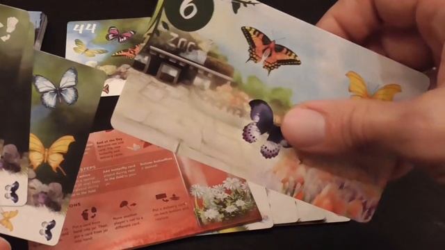 The Butterfly Garden Review смотреть онлайн