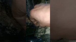 метки ГРМ Мазда 6 2.0л доступное объяснения.