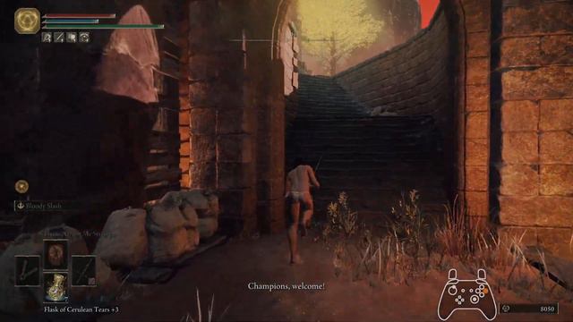 Twinblades Return! Elden Ring no-hit no sleep any% Patch 1.07.1 смотреть онлайн