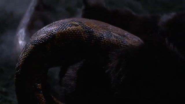 King Kong (1976) - Kong vs. Snake (Extended Cut) смотреть онлайн