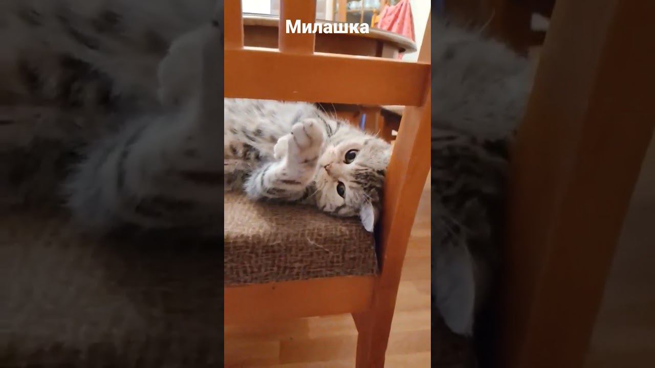 24 октября 2022 г. смотреть онлайн