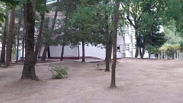 Урааа чарте рейслар яна арзонлашди смотреть онлайн