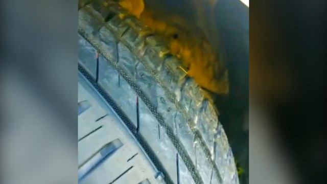 Nokian Nordman SX3 /// отзыв