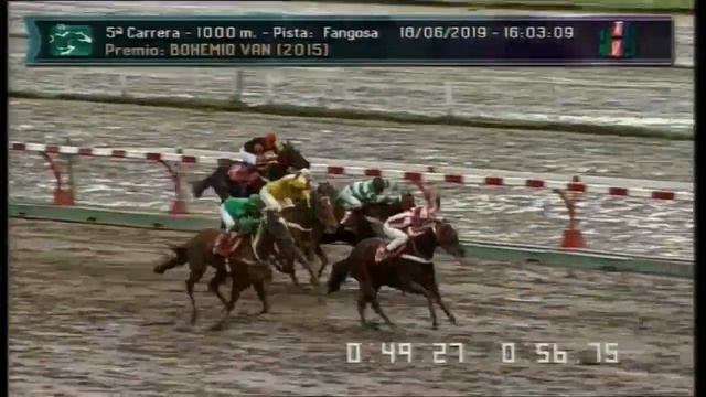 Carr.5 Premio: BOHEMIO VAN (2015) 18-06-2019 смотреть онлайн