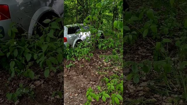 Когда есть Ауди Нива не нужна