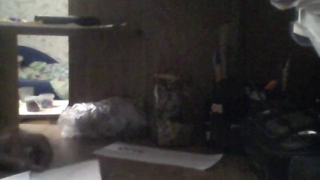 Как сделать гадалку из бумаги. смотреть онлайн