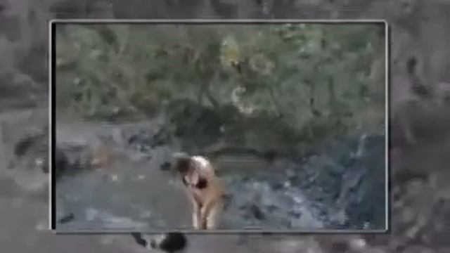 Прямо в дерьмо смотреть онлайн