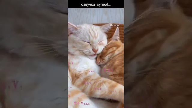 о чем думаешь смотреть онлайн