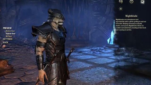 The Elder Scrolls Online. Настройки персонажа. смотреть онлайн