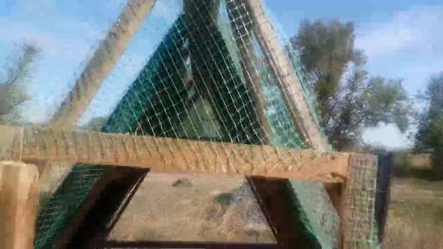 Утиный рай в шалаше // Как дела у уток смотреть онлайн