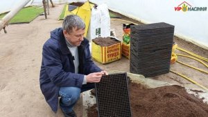 Технология выращивания лука через рассаду - подбор кассеты