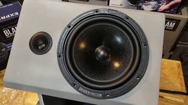 BLAM Express 165 ES 
PowerRMS.     60watt
PowerMax.     120watt
Frequency response 65hz-25khz
Sensi