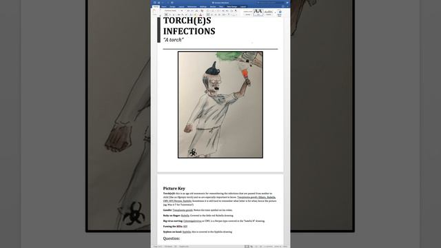 Torches infections for the visually gifted смотреть онлайн