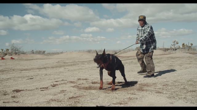 THE DOBERMAN GANG: WORKING PINSCHERS смотреть онлайн