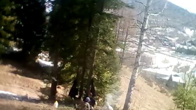 Всем привет свами человек леса смотреть онлайн