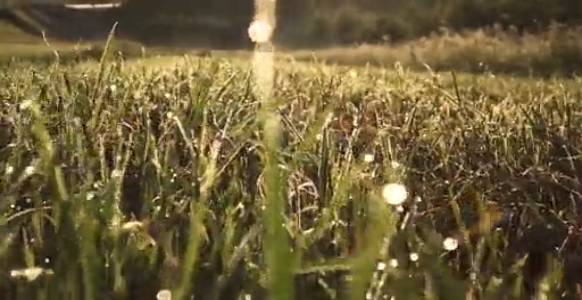 Красивая музыка для души слушать на гуслях - музыка мечтаний. Кирилл Богомилов славянские гусли. смотреть онлайн