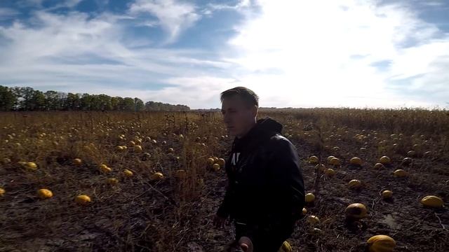 Такого врожаю Гарбуза я ще не бачив.Роман MOROZ і його поле гарбуза Данка Полька смотреть онлайн