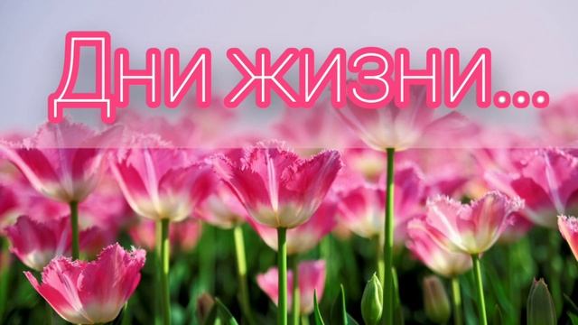 Дни жизни нашей улетают быстро - христианская песня. смотреть онлайн
