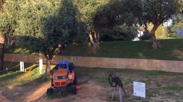 Вышли прогуляться в парк 10 декабря 2018 город Раанана́ פארק רעננה דצמבר смотреть онлайн