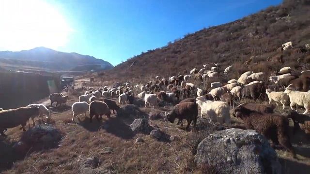 Появилось время для развития заимки. И вот как я провел осень. смотреть онлайн