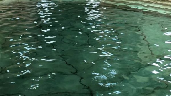 Термальные купальни в Эгере /Thermal Baths in Eger/Egri Termálfürdő