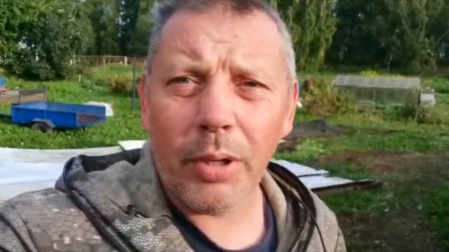 Сколько весит гусь ЛИНДА в 2 месяца? "Мое Подворье" смотреть онлайн