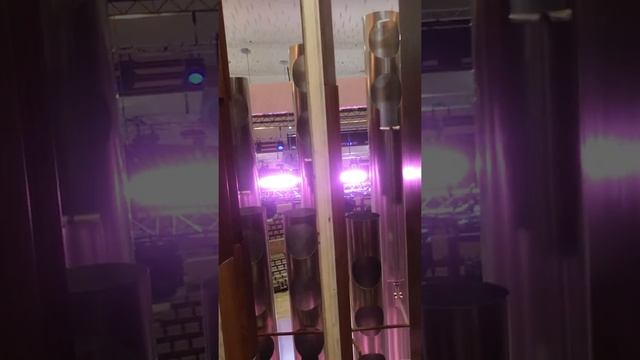 Inside Moscow's largest organ Зарядье: внутри самого большого органа Москвы смотреть онлайн